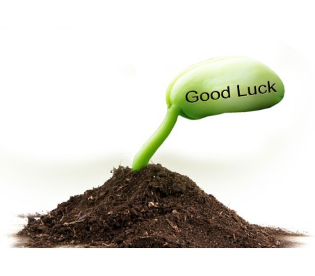 2 Sets of "Good Luck" Message Seed