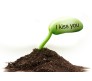 2 Sets of "I Kiss You" Message Seed