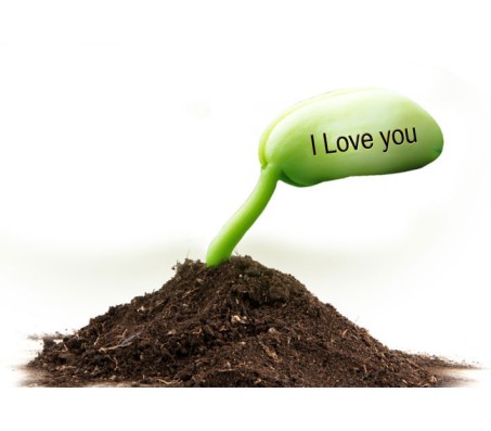 2 Sets of "I Love You" Message Seed