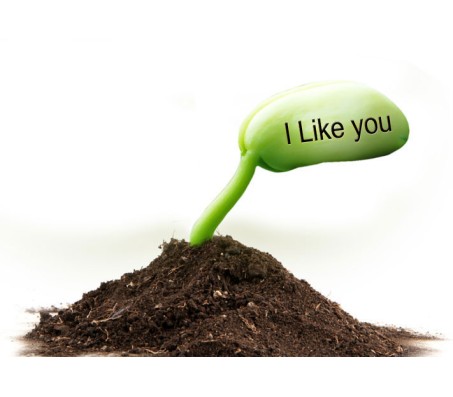 2 Sets of "I Like You" Message Seed