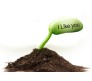 2 Sets of "I Like You" Message Seed