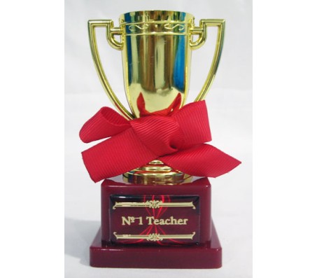 Number 1 Teacher Trophy