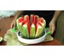 Water Melon Slicer Stainless Steel Blades / Cutter Pappaya Slicer / Cutter