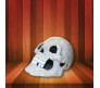 Silver Shiny Skull Shaped Phone