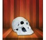 Silver Shiny Skull Shaped Phone