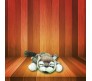 Laughing & Rolling Cat Musical Soft Toy