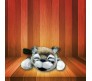 Laughing & Rolling Cat Musical Soft Toy