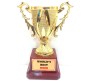 Worlds Best Mom Trophy Birthday, Mother's day Gift Quirky Small