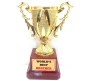 Worlds Best Brother Trophy - Small