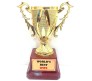 Worlds Best Wife Trophy - Small