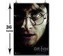 Harry Potter Deathly Hallows Part 1 Movie Poster By Happy GiftMart Licensed by WB