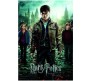 Harry Potter Deathly Hallows Part2 Movie Poster by Happy GiftMart Licensed by WB