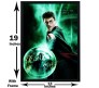Harry Potter Voldemort 'Only One Can Survive' Poster by Happy GiftMart Licensed by WB