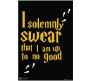 Harry Potter I Solemnly Swear That I Am Up To No Good Quote Poster By Happy GiftMart Licensed by WB