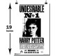  Harry Potter 'Undesirable No.1' Poster By Happy GiftMart Licensed by WB