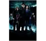 Harry Potter Goblet of Fire Movie Poster By Happy GiftMArt Licensed by WB