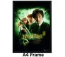 Harry Potter Chamber of Secrets Movie Poster By Happy GiftMart Licensed by WB