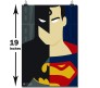 Batman Superman Minimlist Comic Poster By Happy GiftMart Licensed by WB