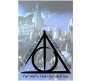 Harry Potter Its Our Choices Motivational Poster  By Happy GiftMart Licensed by WB