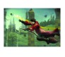 Herry Potter Quidditch Poster by Happy GiftMart Licensed by WB