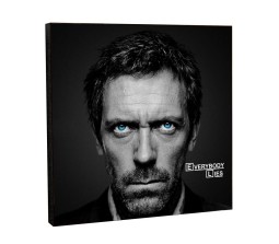 House MD TV Series Everybody Lies Pop Art Wooden Frame Poster