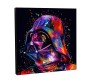 Darth Vader Art Poster Pop Art Wooden Frame