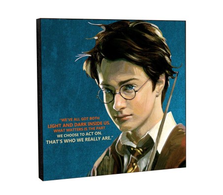 WB Official Harry Potter Light and Dark Inside Us Motivational Inpirational Quote Pop Art Wooden Frame Poster 