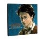 WB Official Harry Potter Light and Dark Inside Us Motivational Inpirational Quote Pop Art Wooden Frame Poster 