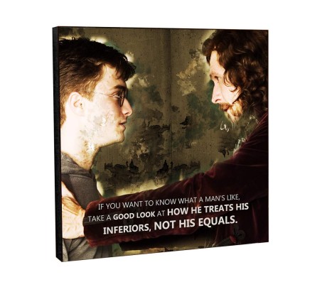 Harry Potter Sirrus Black How He Treats His Inferior Motivational Inpirational Quote 2 Pop Art Wooden Frame Poster
