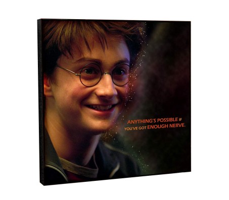 WB Official Harry Potter Anythings Possible Motivational Inpirational Quote Pop Art Wooden Frame Poster 