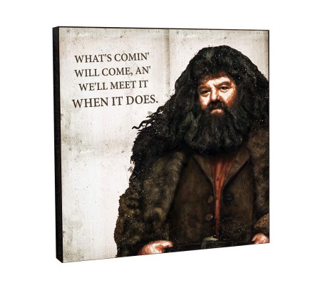 WB Official Harry Potter Hagrid Motivational Inpirational Quote Pop Art Wooden Frame Poster