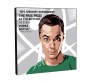  WB Official The Big Bang Theory Sheldon Cooper Funny Quote Pop Art Wooden Frame Poster