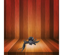 Fake Spider Animal Prank [Dot Color May Vary]