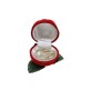 Rose Box With Heart Pendant & Necklace - Rink Box / Jewelry Box